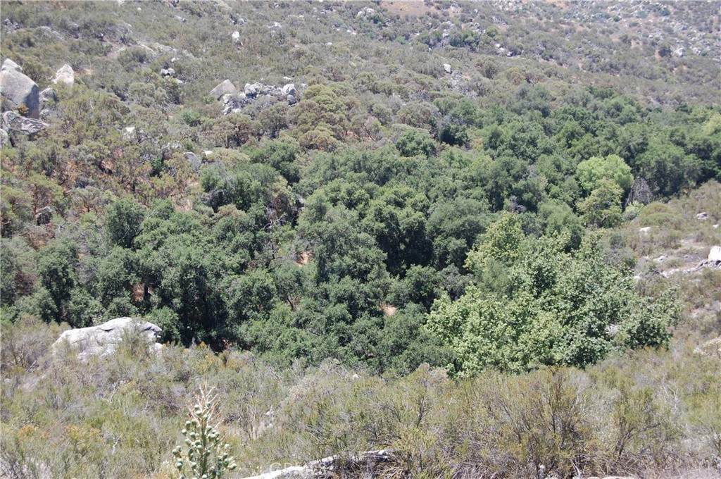 0 Doe Lane - Photo 1