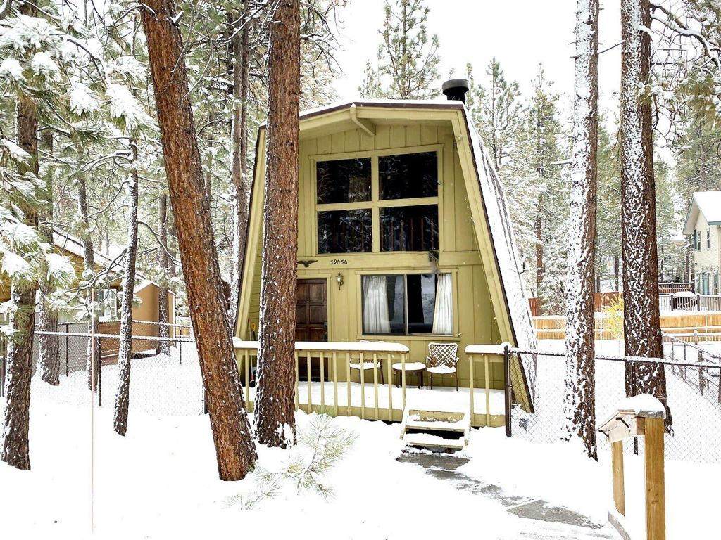 39656 Forest Road - Photo 1