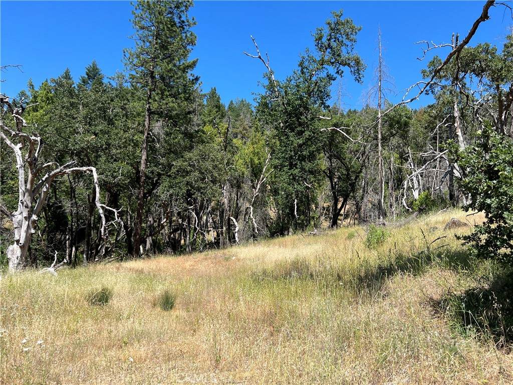 20925 Mid Mountain (17N17 Usfs) Road - Photo 1
