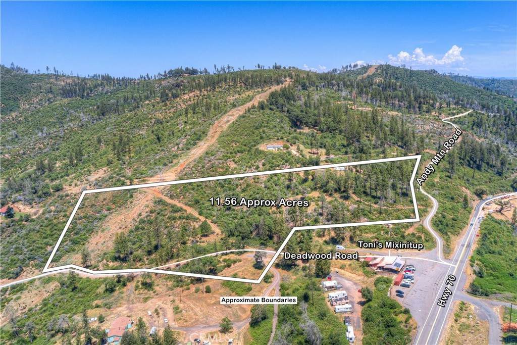 12059 Andy Mountain Road - Photo 1