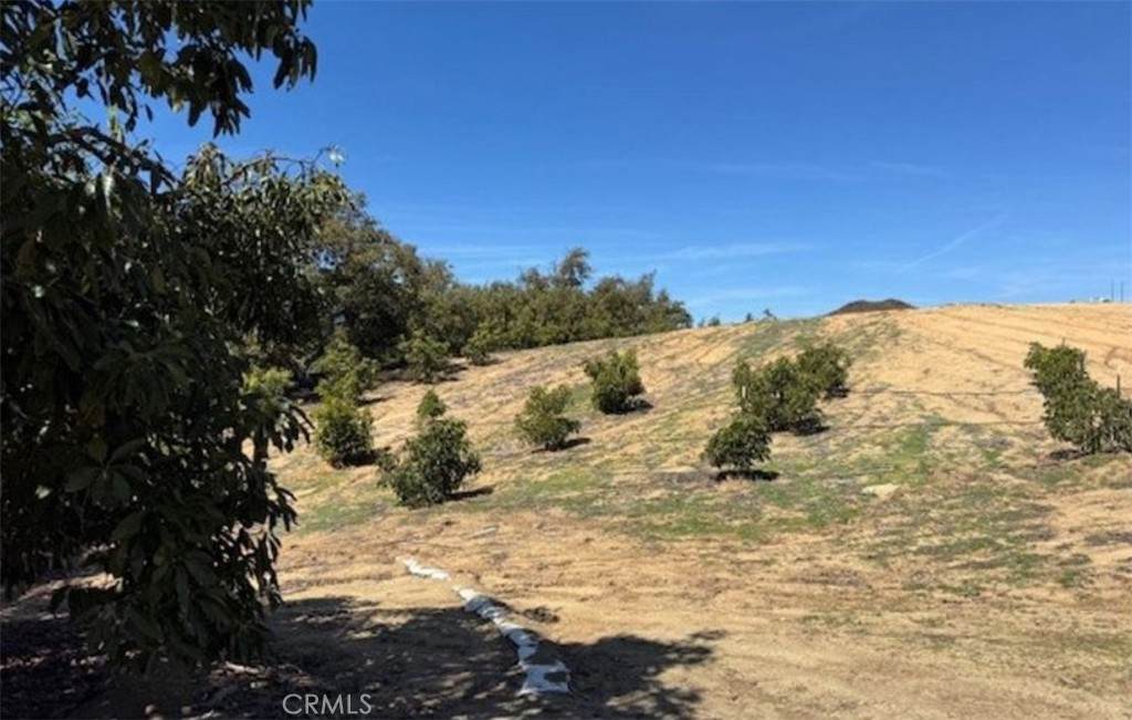 1 Monte Rancho - Photo 1