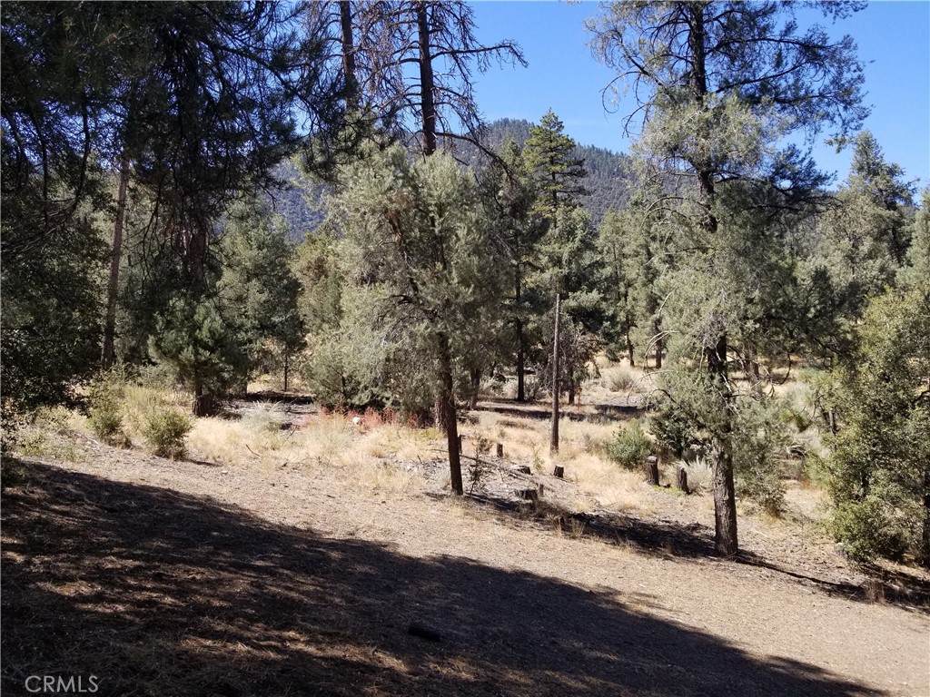 1912 Ironwood Drive - Photo 1
