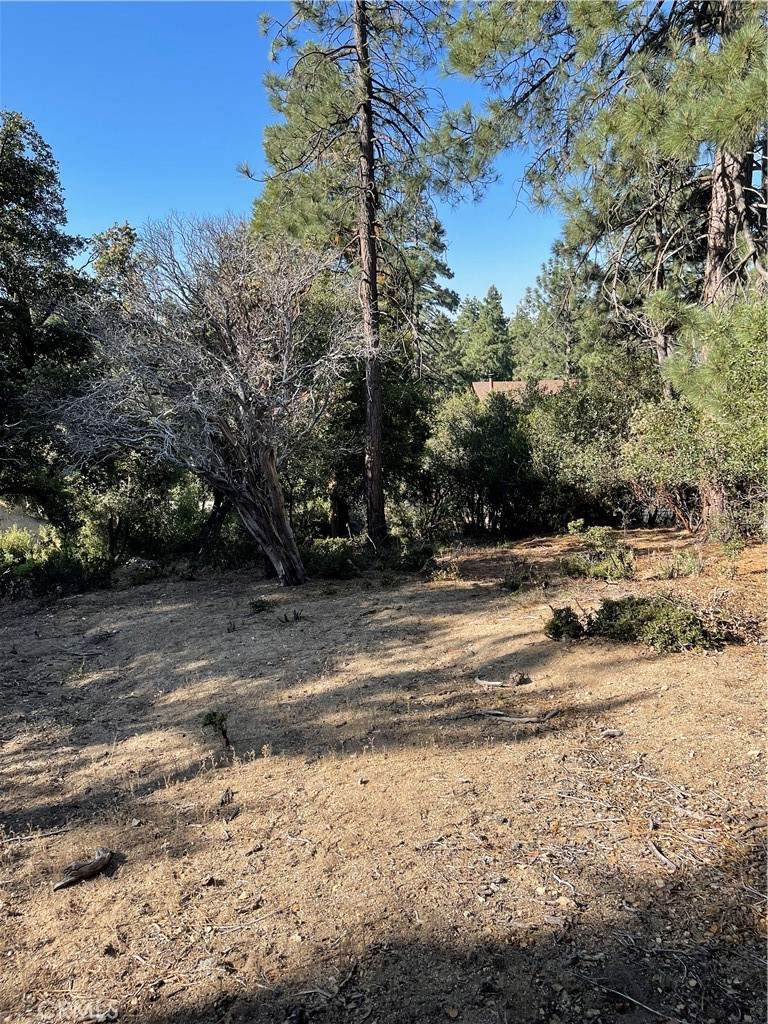 0 Valley View Drive - Photo 1