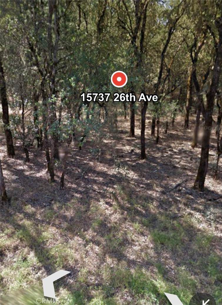 15737 26th Avenue - Photo 1