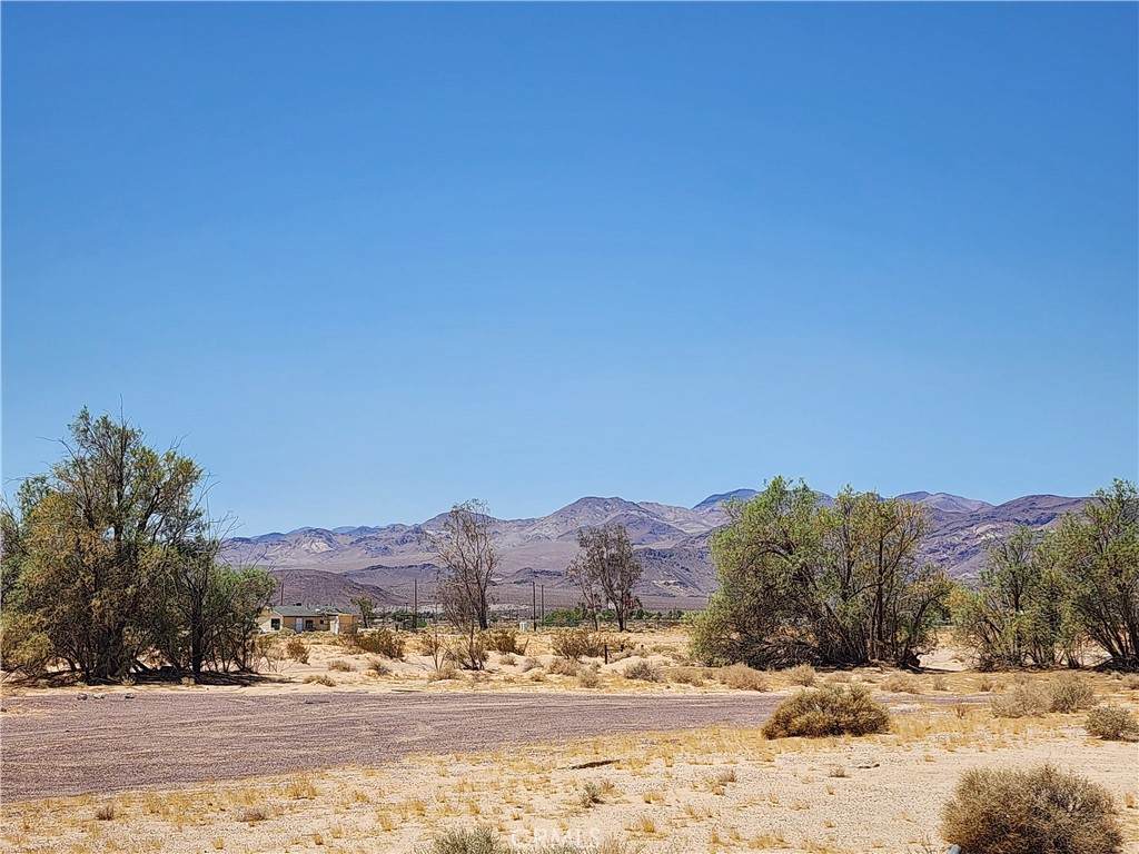 31312 Fort Cady Road - Photo 1