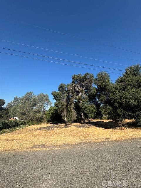 3595 Mountain View Street - Photo 1