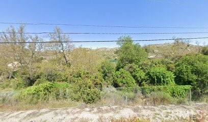 24811 Juniper Flats Road - Photo 1