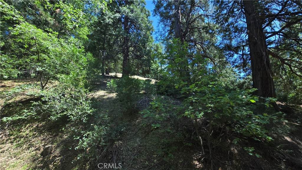 22494 Mojave River Road - Photo 1