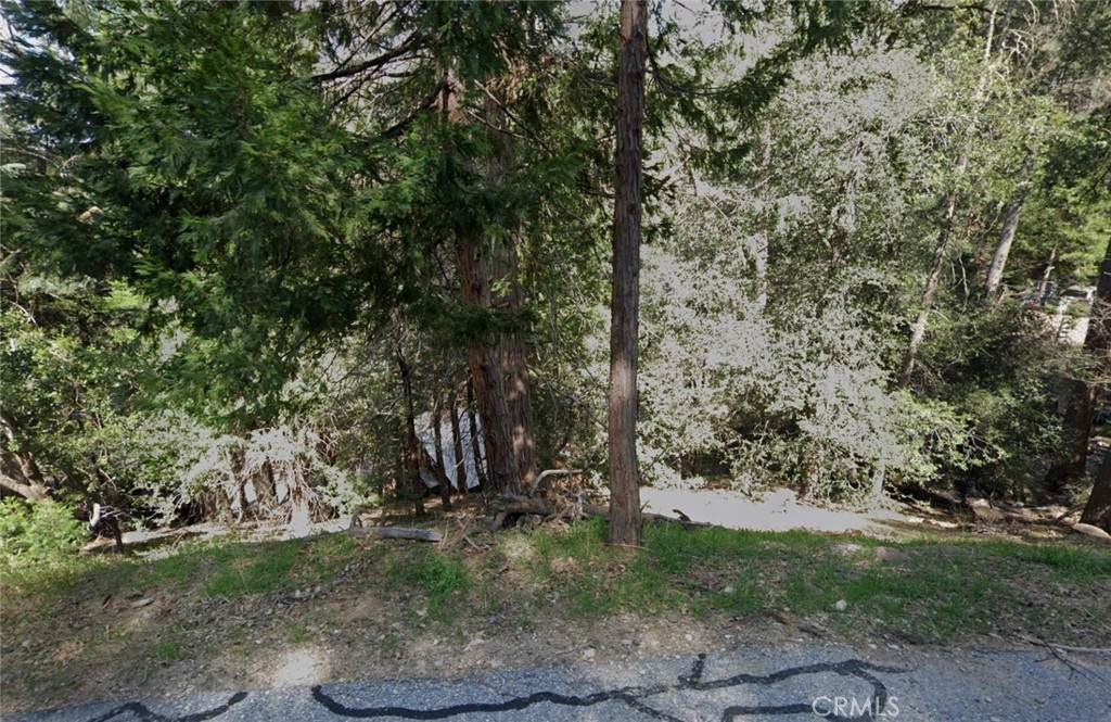0 Acacia Drive - Photo 1