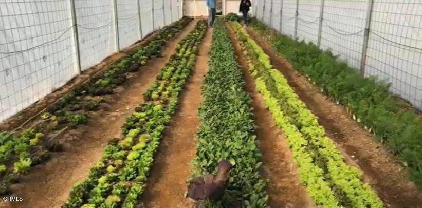 691 Desert Trail Way - Photo 1