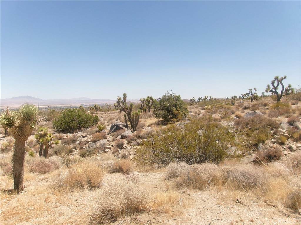8020 Miller Ranch Road - Photo 1