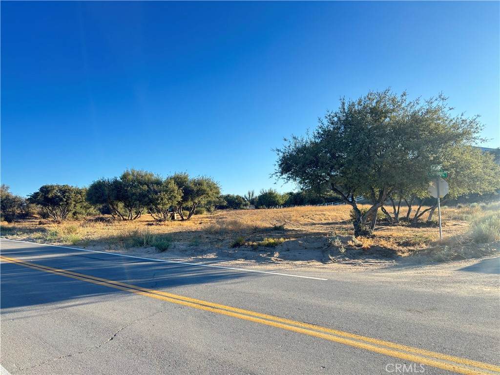 1 Coleridge Road - Photo 1