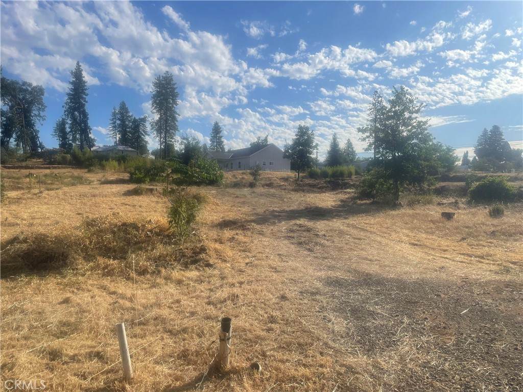 829 Pearson Road - Photo 1