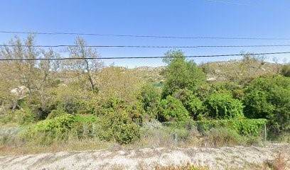 123 Mapes Road - Photo 1