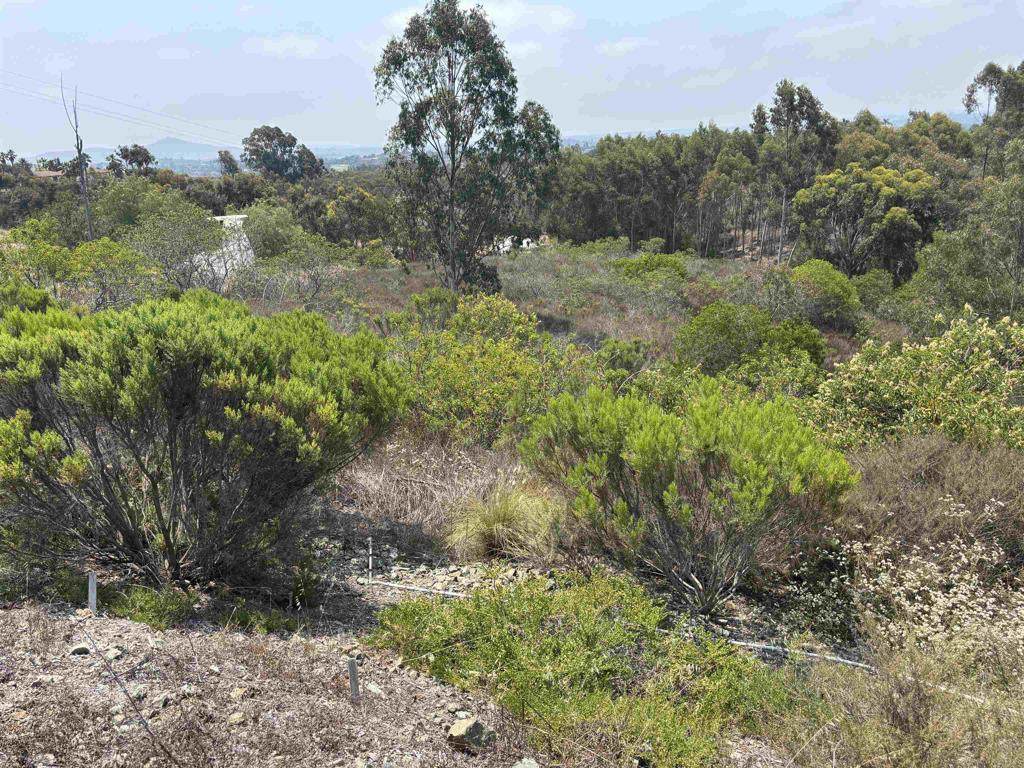 0 Lone Hill Lane - Photo 1