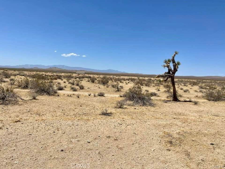 https://bt-photos.global.ssl.fastly.net/socal/orig_boomver_2_374934247-2.jpg