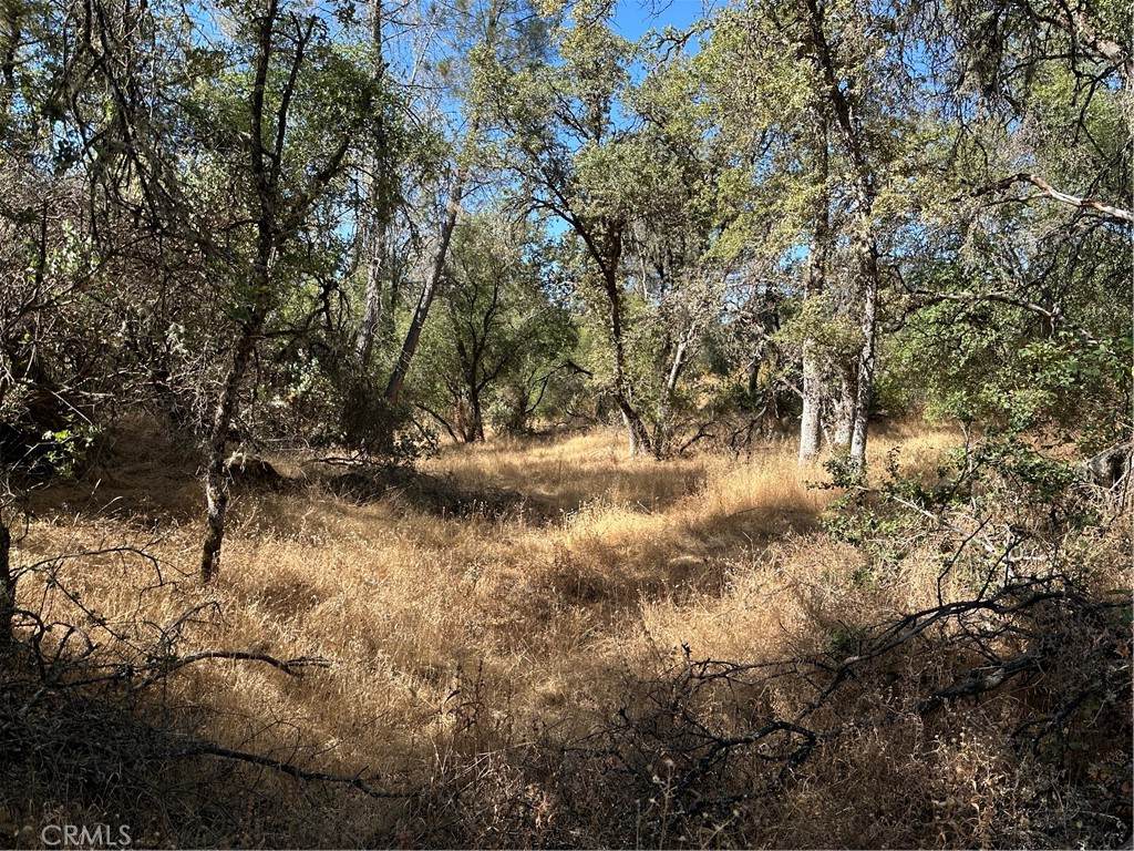 4275 Ashworth Road - Photo 1