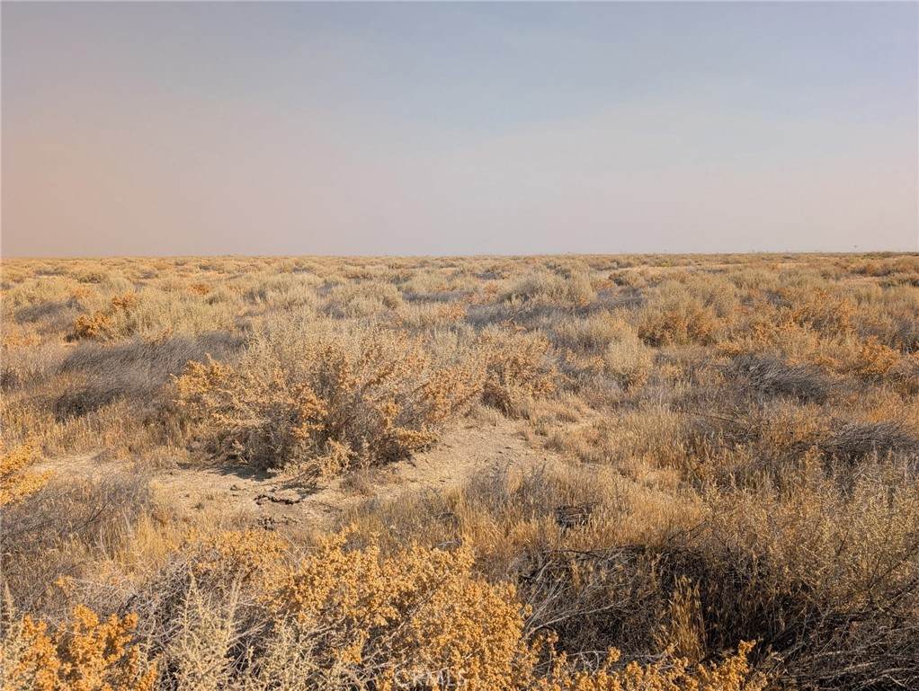 0 Santa Margarita - Photo 1