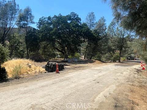 3353 Wolf Creek Road - Photo 1