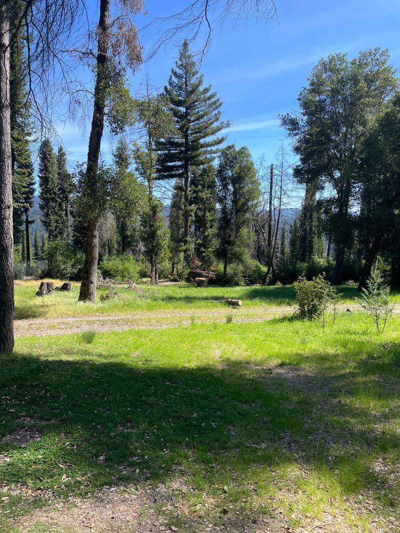 500 Wildberry Drive - Photo 1