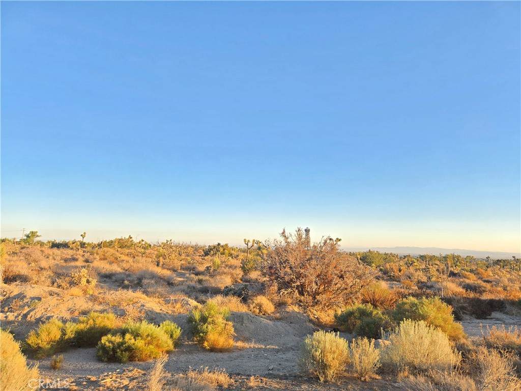 4044 Nielson Road - Photo 1