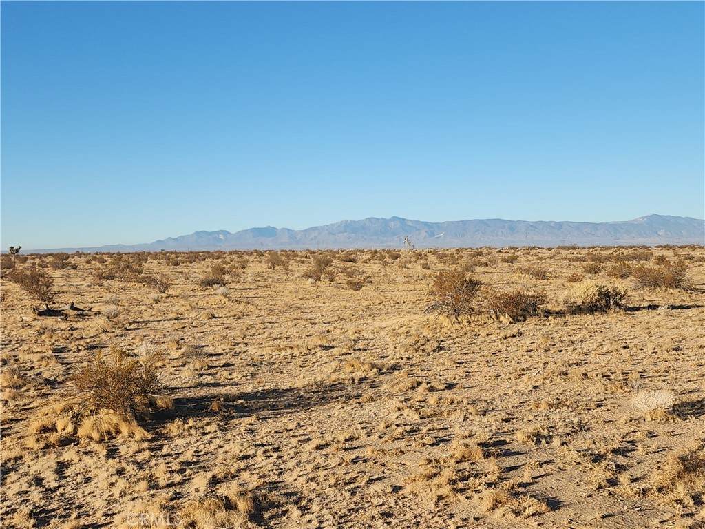 0 Calleja Road - Photo 1