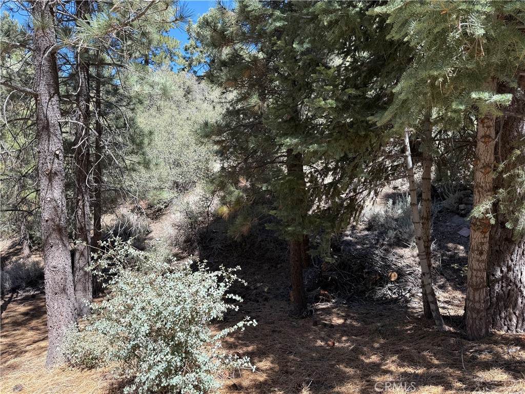 1420 Linden Drive - Photo 1