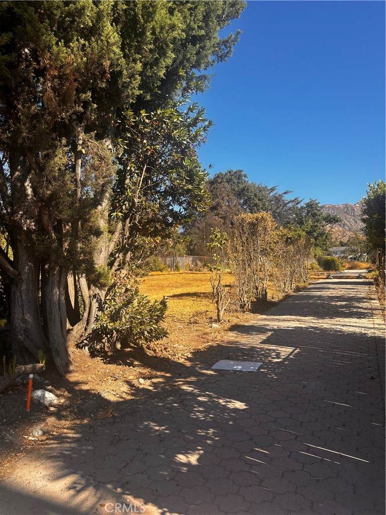 1201 Altadena Drive - Photo 1