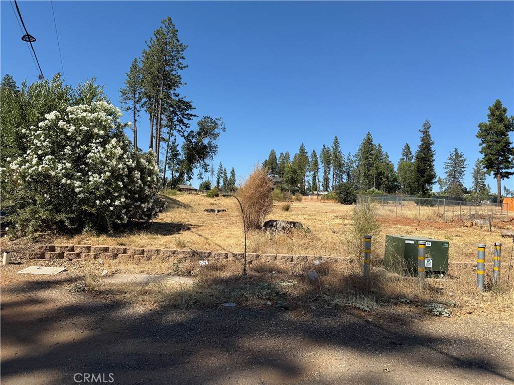 6264 Pentz Road - Photo 1