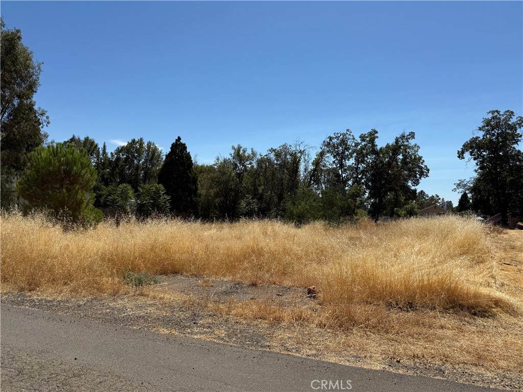 560 Rustic Lane - Photo 1