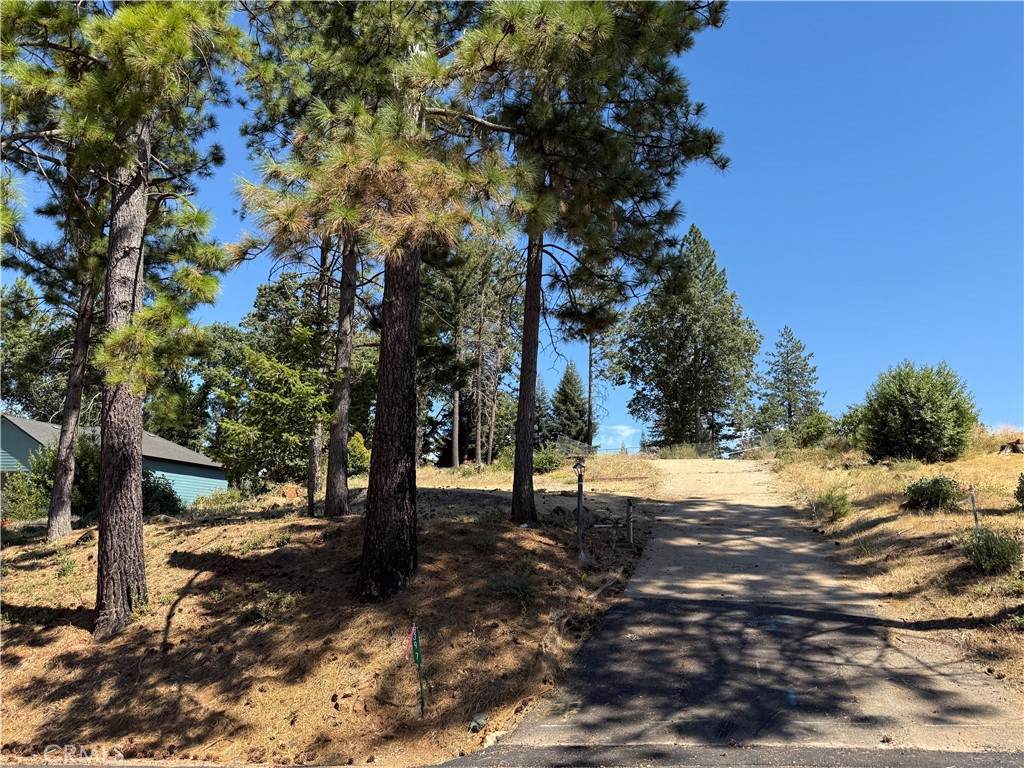 8397 Montna Drive - Photo 1