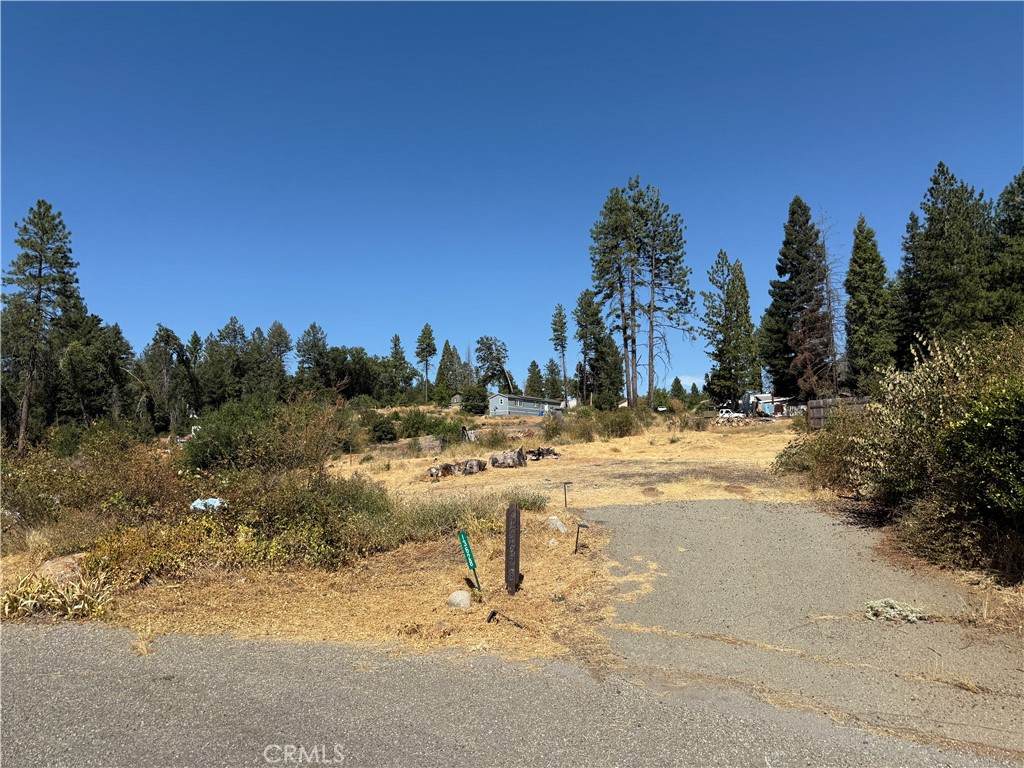 13628 Yana Court - Photo 1