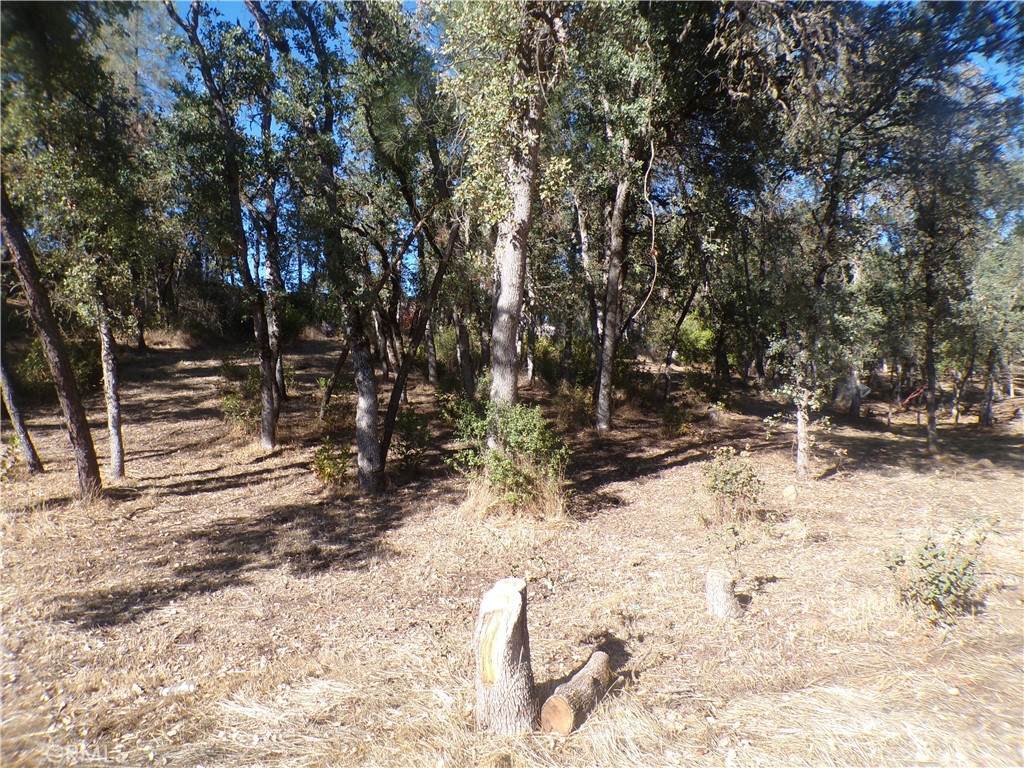 15608 36th Avenue - Photo 1