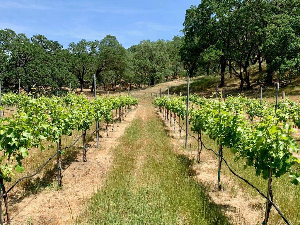 0 Hayes Lane - Photo 1