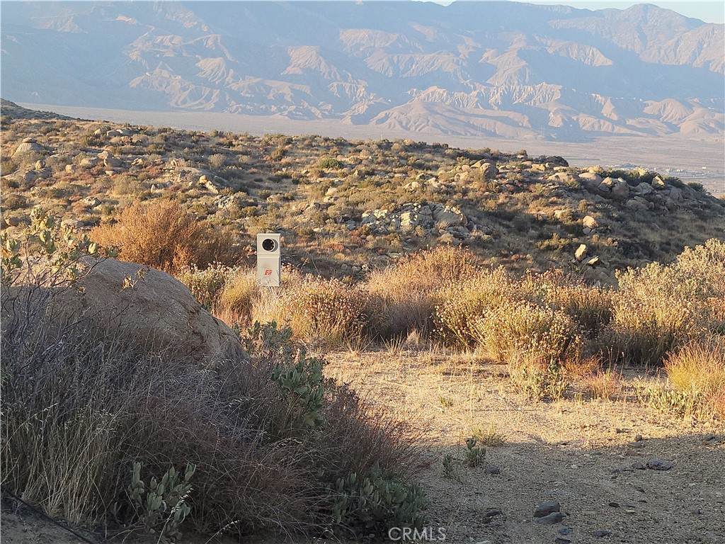 48850 Horse Trail Road - Photo 1