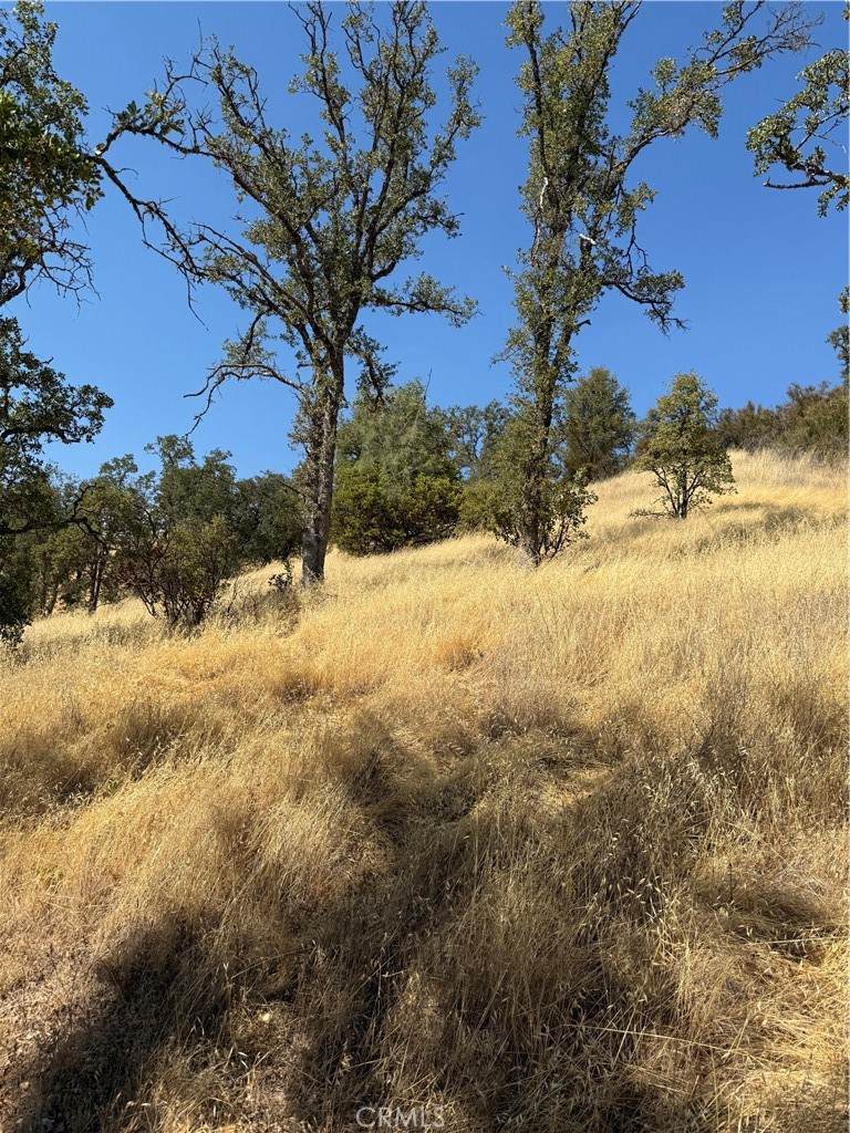 16422 37th Avenue - Photo 1