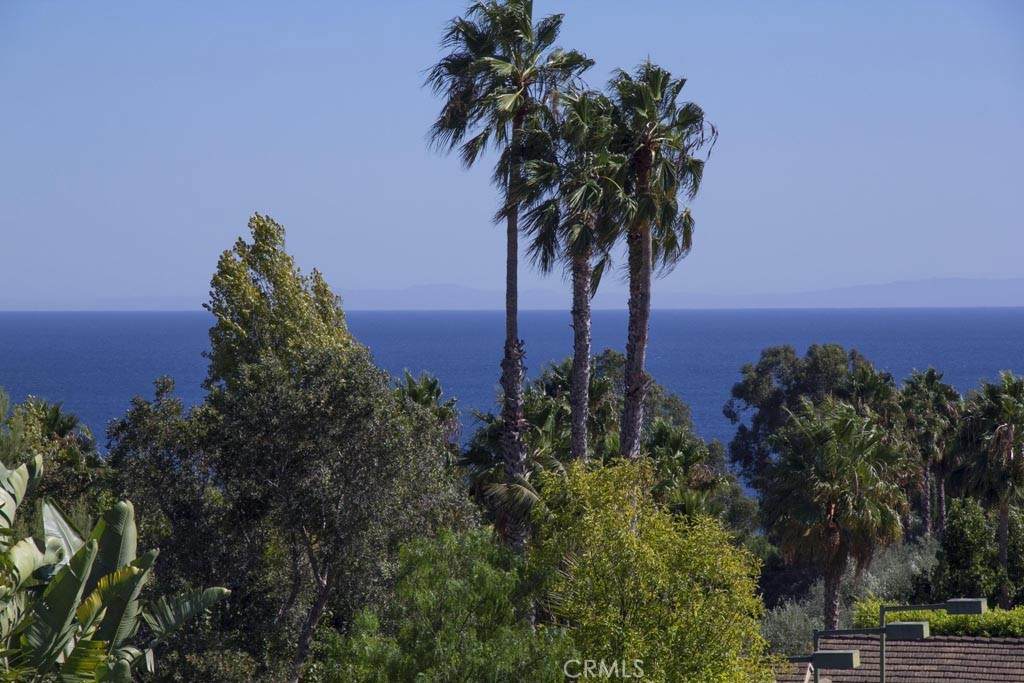27409 Pacific Coast Highway - Photo 1
