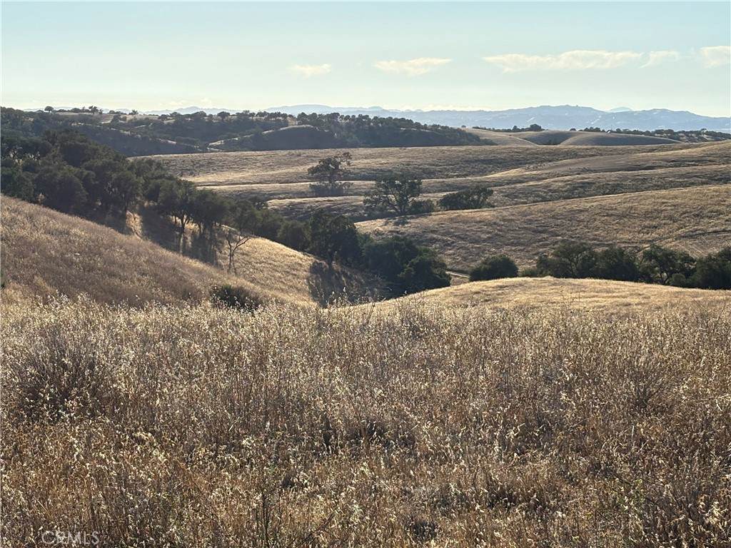 0 Maverick - Photo 1