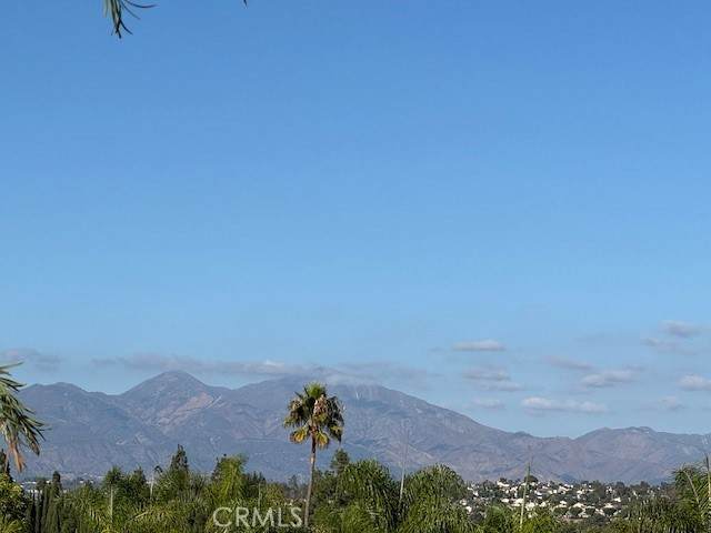 23412 Pacific Park Drive - Photo 1