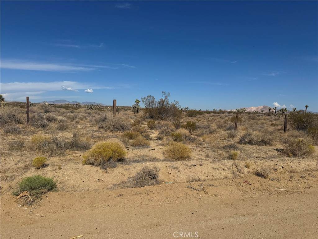 0 Seirra Hwy - Photo 1