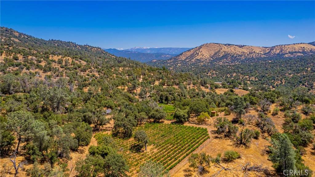 49610 House Ranch Rd - Photo 1