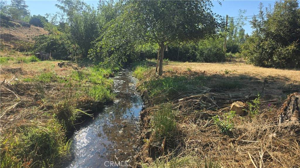 1833 Stark Lane - Photo 1