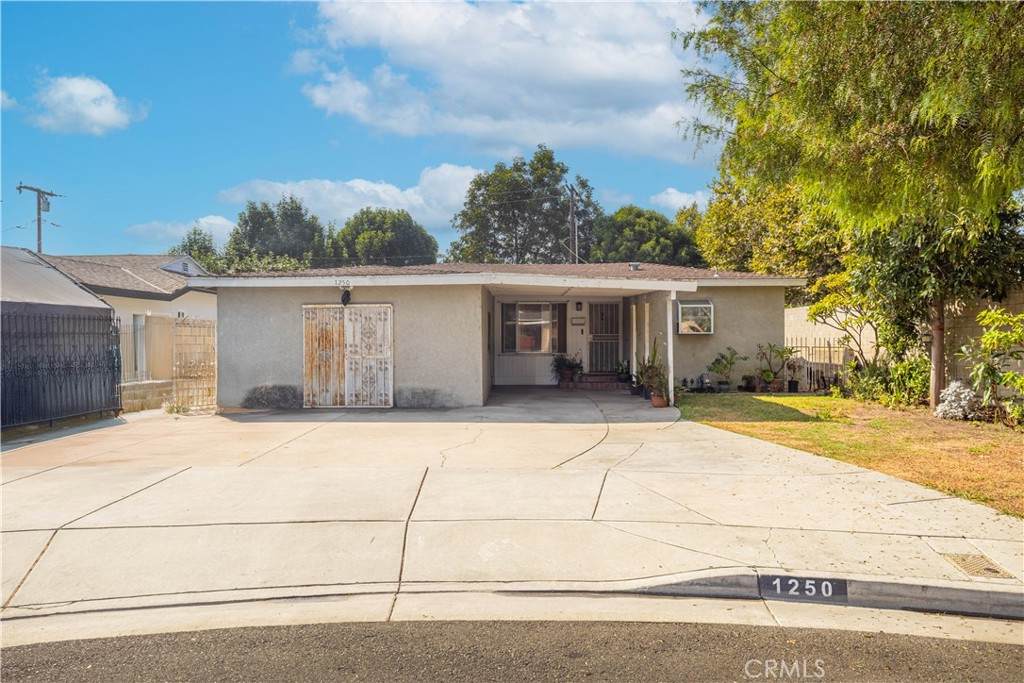 1250 Camile Street - Photo 1