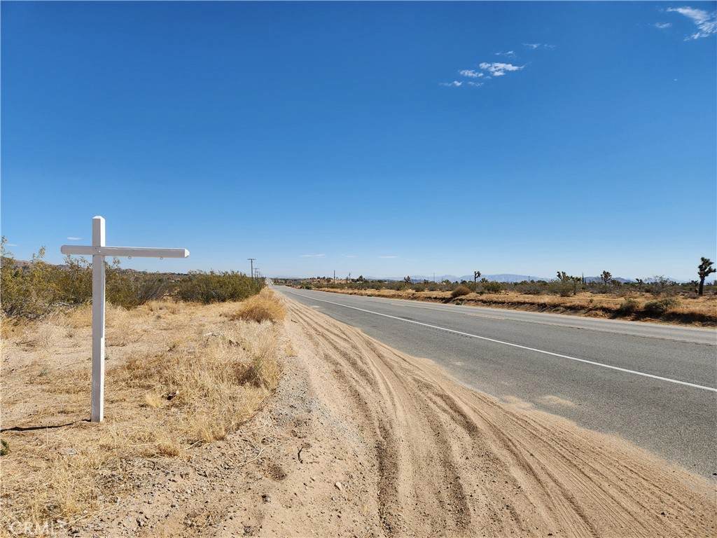 1901 Old Woman Springs Road - Photo 1