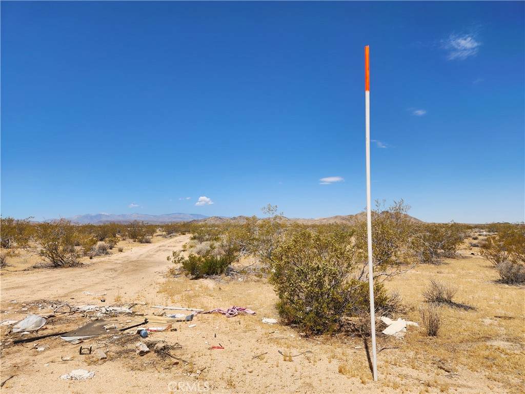 40 AC Joshua Tree - Photo 1