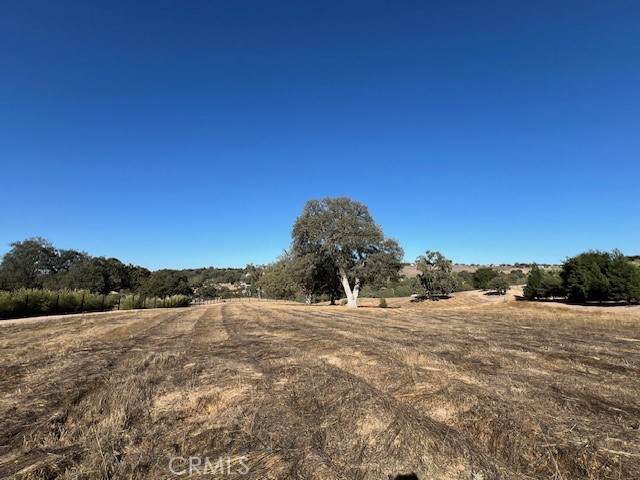 LOT 28 Fire Rock Loop - Photo 1