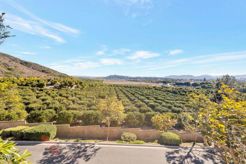 2713 Antonio Drive - Photo 1