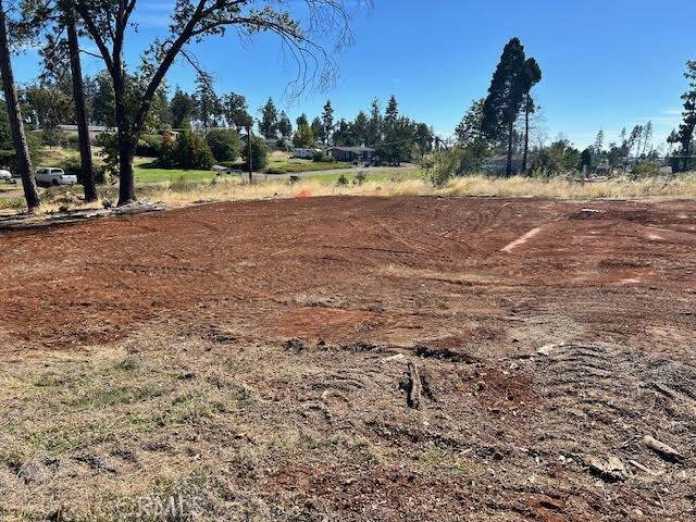 5805 Deerpark - Photo 1