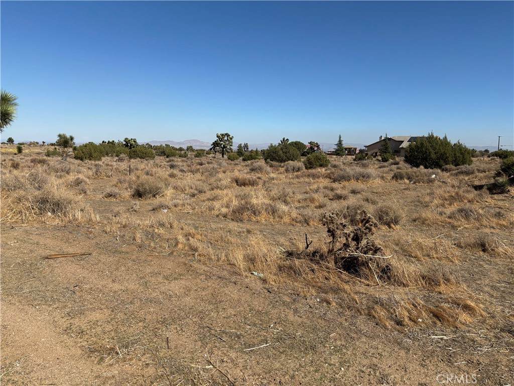 0 Smoke Tree - Photo 1