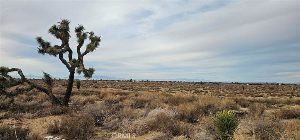 0 Avenue L4 / 23rd St E - Photo 1